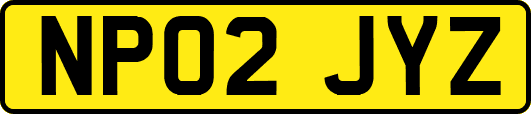 NP02JYZ