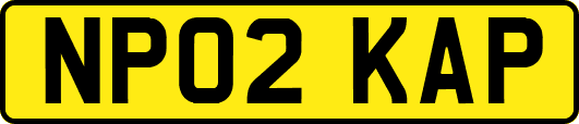 NP02KAP