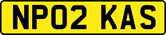 NP02KAS