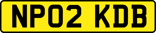 NP02KDB
