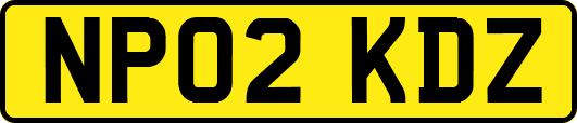 NP02KDZ