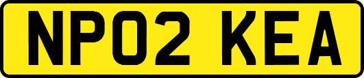 NP02KEA