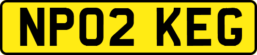 NP02KEG