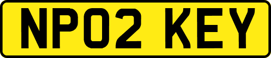 NP02KEY