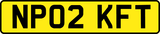 NP02KFT