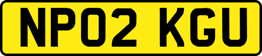 NP02KGU