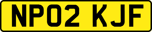NP02KJF