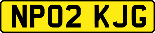 NP02KJG