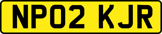 NP02KJR