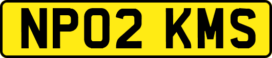 NP02KMS