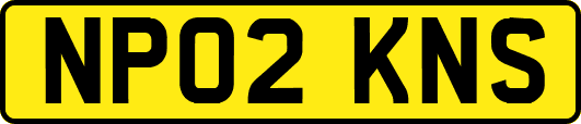 NP02KNS