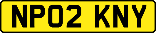 NP02KNY