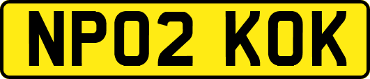 NP02KOK