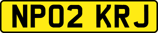 NP02KRJ
