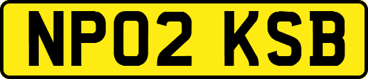 NP02KSB