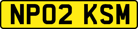NP02KSM