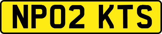 NP02KTS