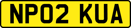 NP02KUA