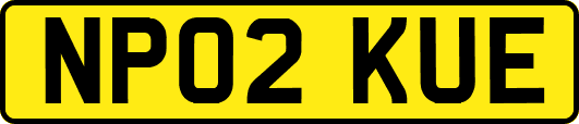 NP02KUE
