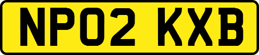 NP02KXB