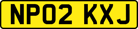 NP02KXJ