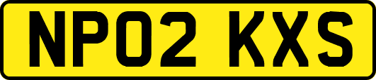 NP02KXS