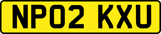 NP02KXU
