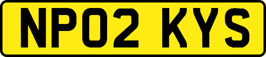 NP02KYS