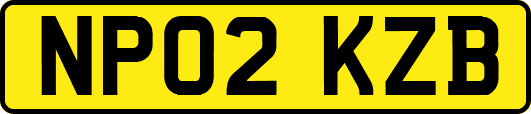 NP02KZB