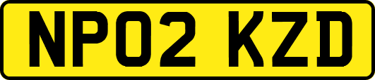 NP02KZD