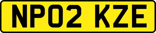 NP02KZE