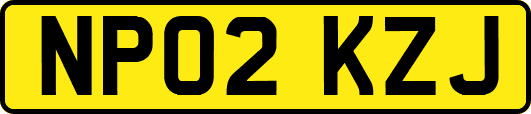 NP02KZJ