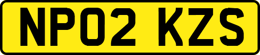 NP02KZS
