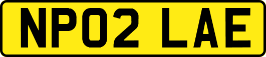 NP02LAE