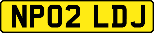NP02LDJ