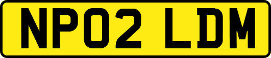 NP02LDM