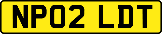 NP02LDT