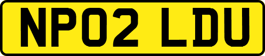 NP02LDU