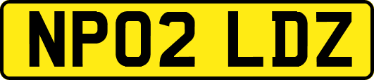 NP02LDZ