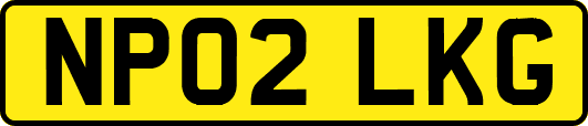 NP02LKG