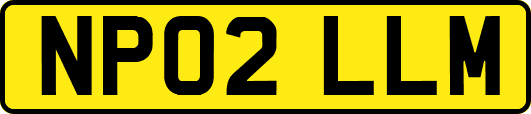 NP02LLM