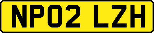 NP02LZH