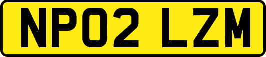 NP02LZM