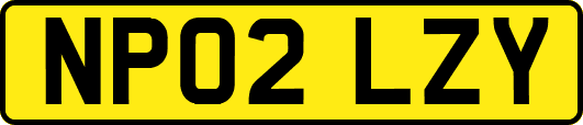 NP02LZY