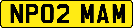 NP02MAM