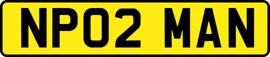 NP02MAN