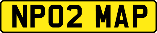 NP02MAP