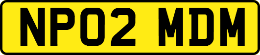 NP02MDM