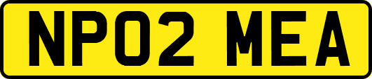 NP02MEA