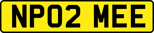 NP02MEE
